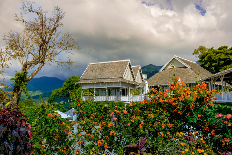 Strawberry Hill Resort Cottage Jamaica